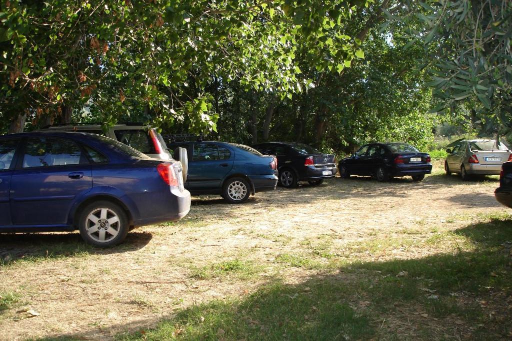 Porto Thassos Apartments & Studios สกาลา โปเตมิอัส ภายนอก รูปภาพ